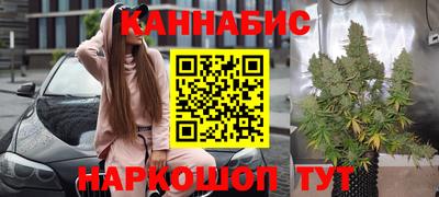 шишки Балашиха